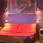 ウェルネス パーク ペンション ホテル 2*
