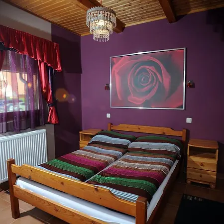 Wellness Park Pension Hotel 2*